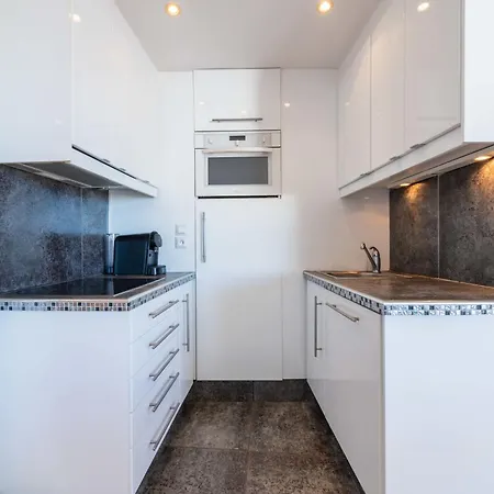 2-br Panoramic Views Floor 칸느